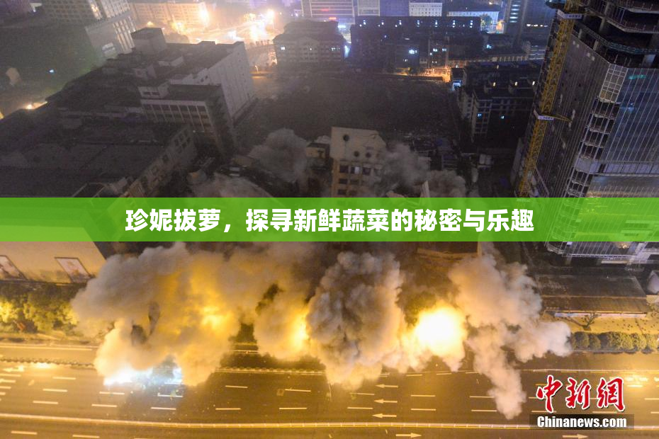 珍妮拔萝，探寻新鲜蔬菜的秘密与乐趣