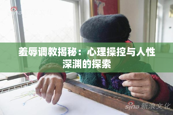 羞辱调教揭秘：心理操控与人性深渊的探索
