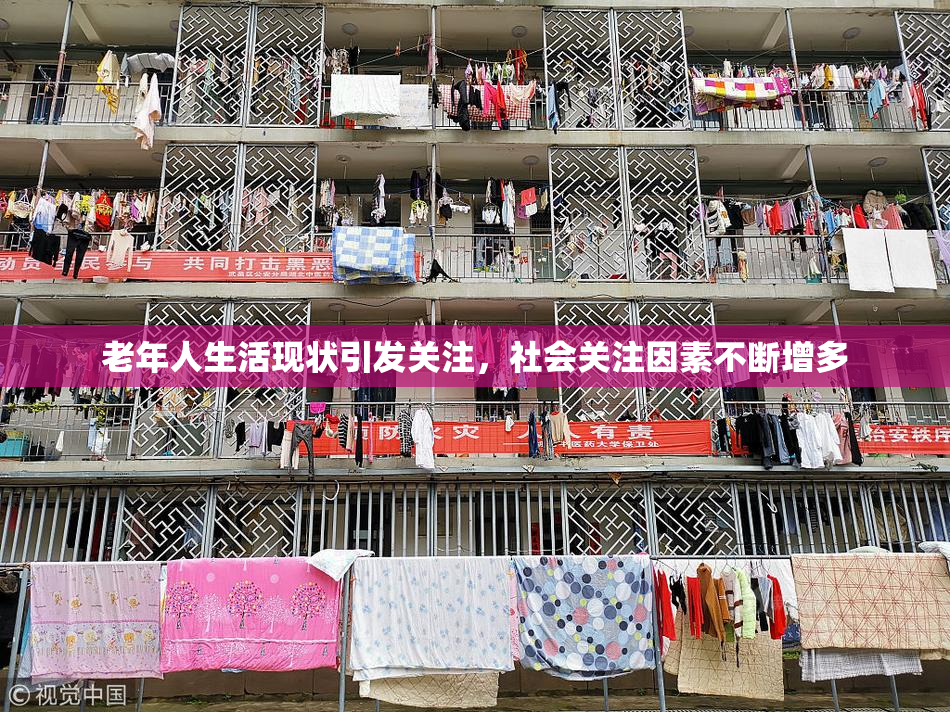 老年人生活现状引发关注，社会关注因素不断增多