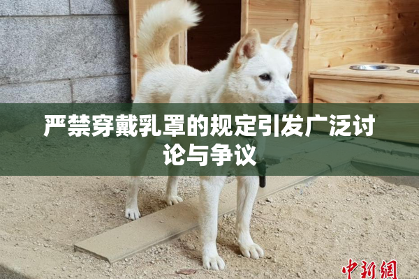 严禁穿戴乳罩的规定引发广泛讨论与争议