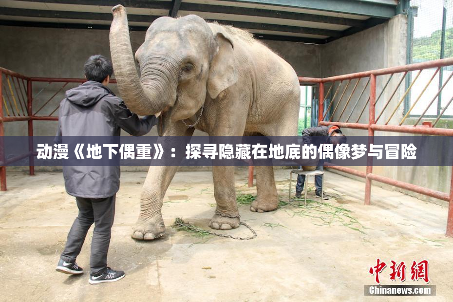 动漫《地下偶重》：探寻隐藏在地底的偶像梦与冒险