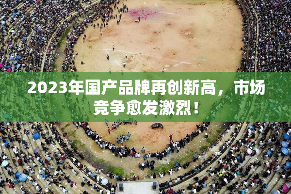2023年国产品牌再创新高，市场竞争愈发激烈！