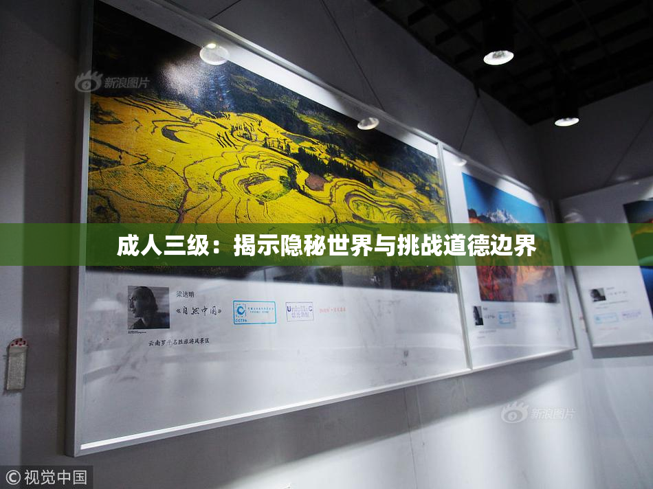成人三级：揭示隐秘世界与挑战道德边界