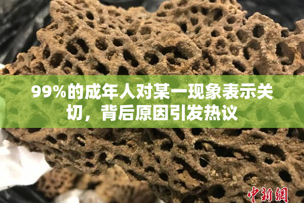 99%的成年人对某一现象表示关切，背后原因引发热议
