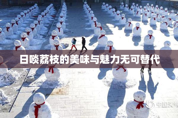 日啖荔枝的美味与魅力无可替代