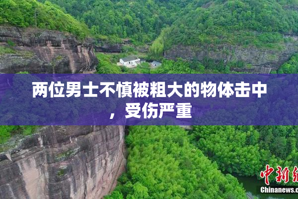 两位男士不慎被粗大的物体击中，受伤严重