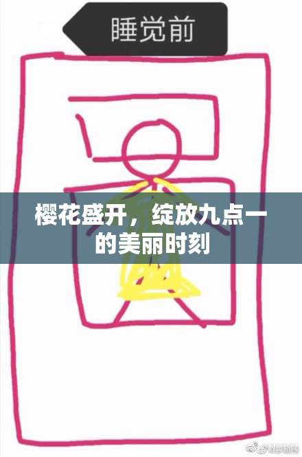 樱花盛开，绽放九点一的美丽时刻