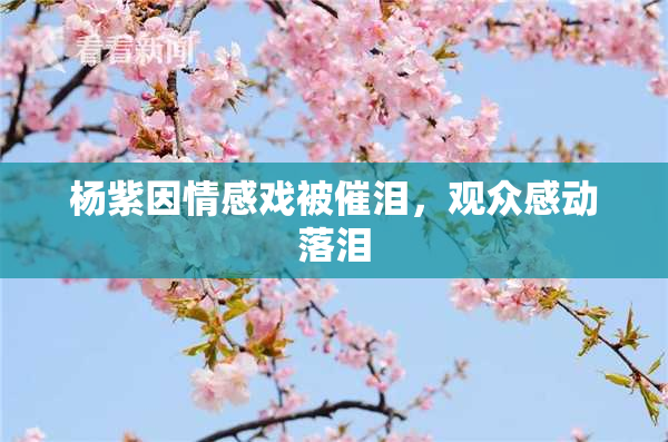杨紫因情感戏被催泪，观众感动落泪