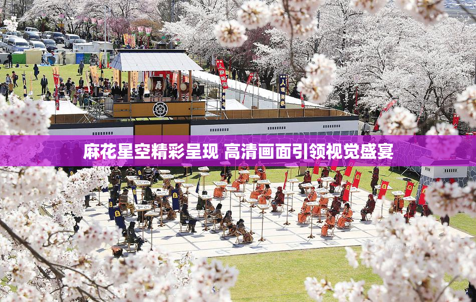 麻花星空精彩呈现 高清画面引领视觉盛宴