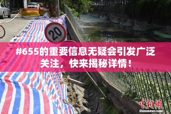 #655的重要信息无疑会引发广泛关注，快来揭秘详情！