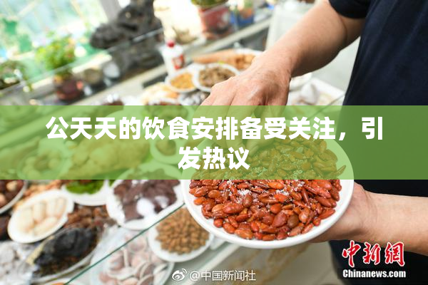 公天天的饮食安排备受关注，引发热议
