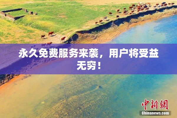 永久免费服务来袭，用户将受益无穷！