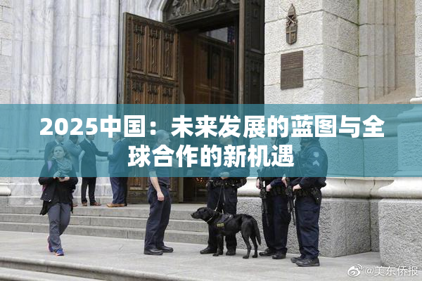2025中国：未来发展的蓝图与全球合作的新机遇