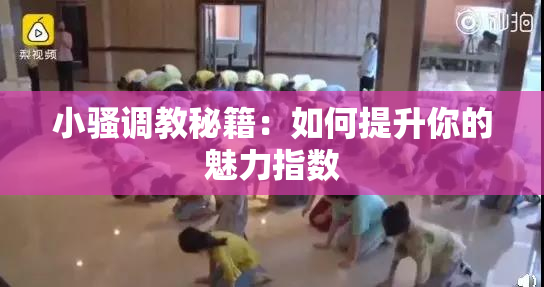 小骚调教秘籍：如何提升你的魅力指数