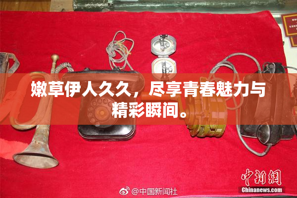 嫩草伊人久久，尽享青春魅力与精彩瞬间。