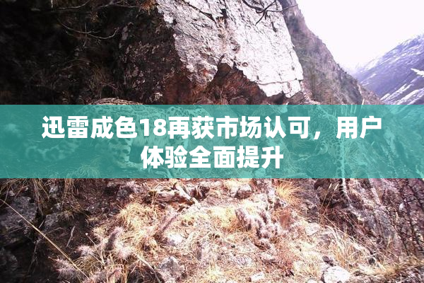 迅雷成色18再获市场认可，用户体验全面提升