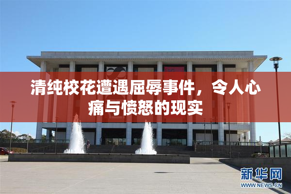 清纯校花遭遇屈辱事件，令人心痛与愤怒的现实