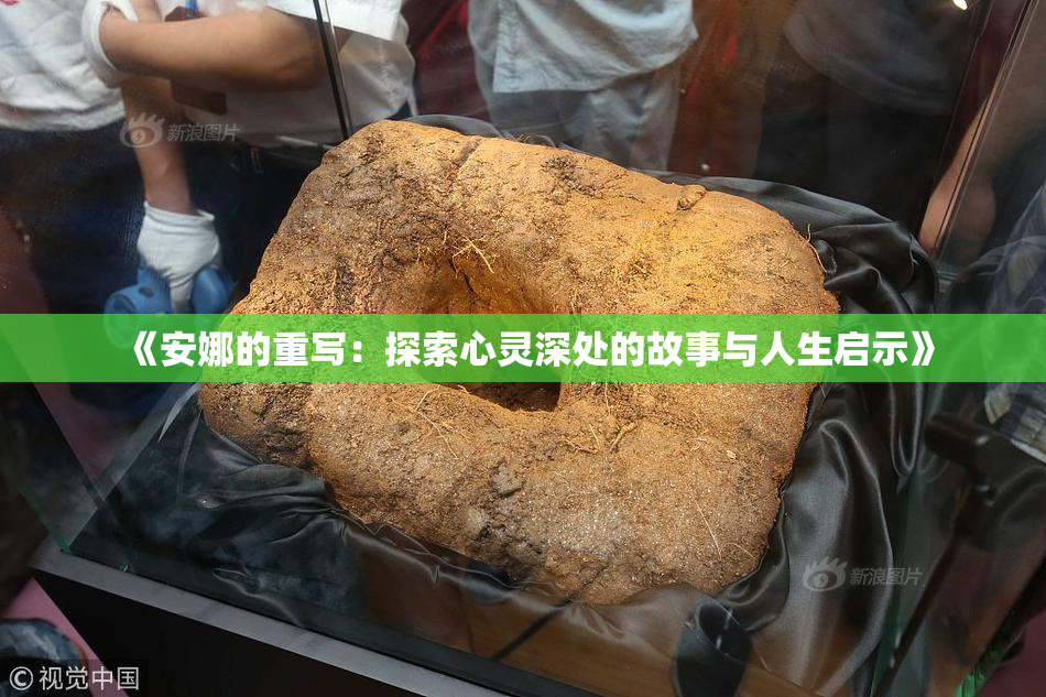 《安娜的重写：探索心灵深处的故事与人生启示》
