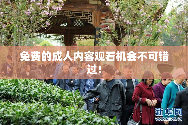 免费的成人内容观看机会不可错过！
