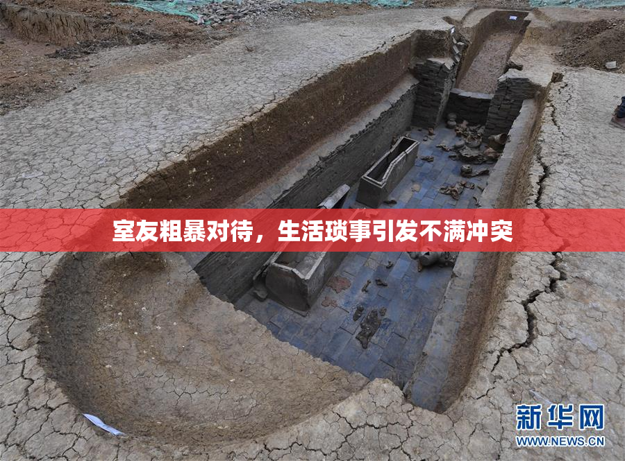 室友粗暴对待，生活琐事引发不满冲突