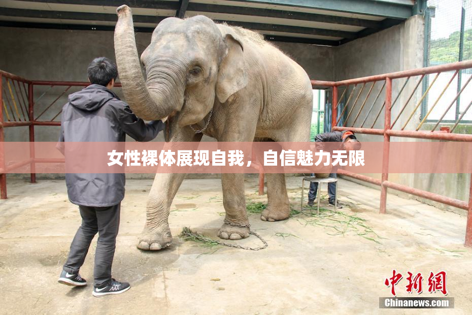 女性裸体展现自我，自信魅力无限