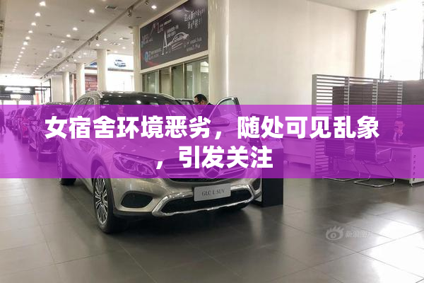 女宿舍环境恶劣，随处可见乱象，引发关注