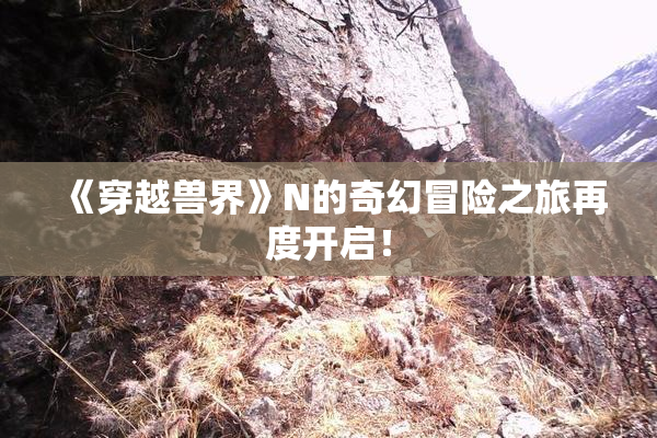 《穿越兽界》N的奇幻冒险之旅再度开启！