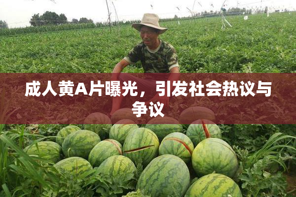 成人黄A片曝光，引发社会热议与争议