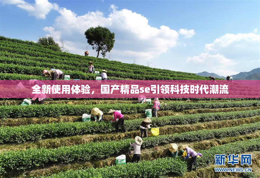 全新使用体验，国产精品se引领科技时代潮流