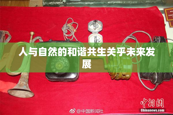 人与自然的和谐共生关乎未来发展