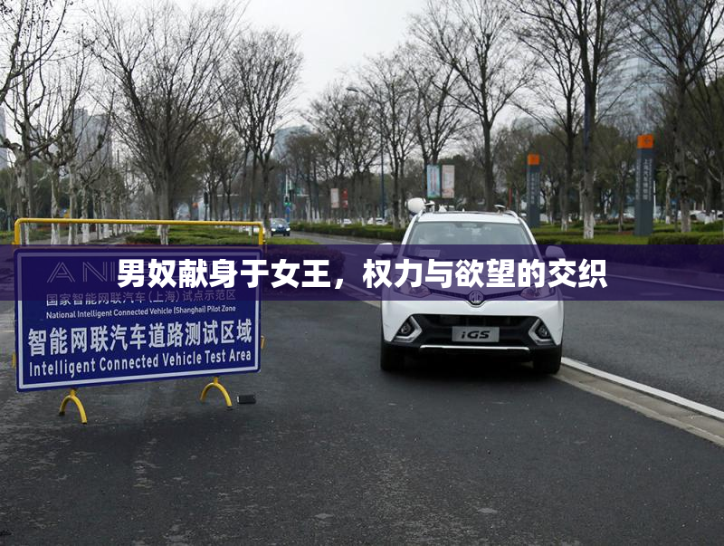 男奴献身于女王，权力与欲望的交织