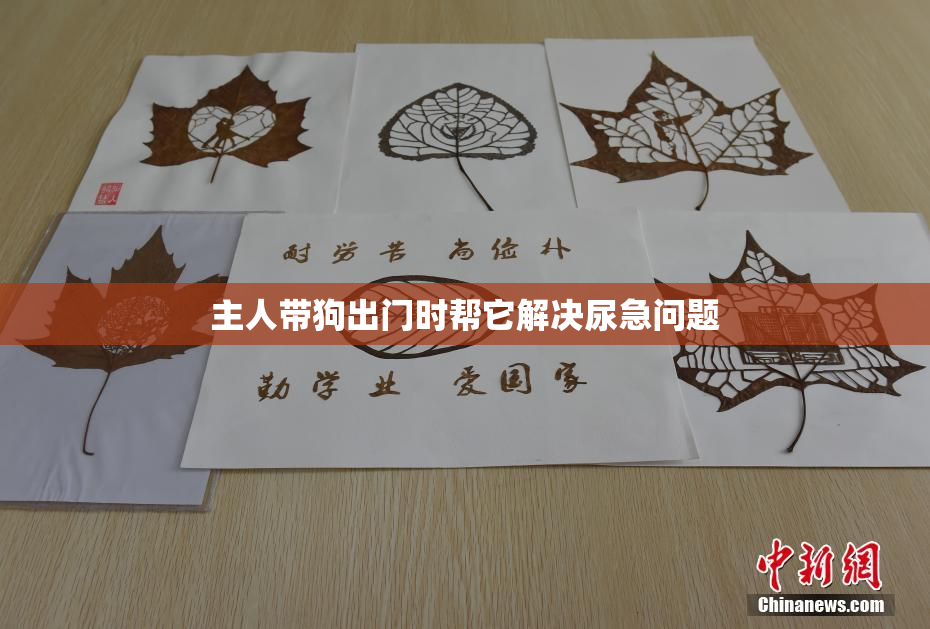 主人带狗出门时帮它解决尿急问题