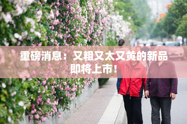 重磅消息：又粗又太又黄的新品即将上市！