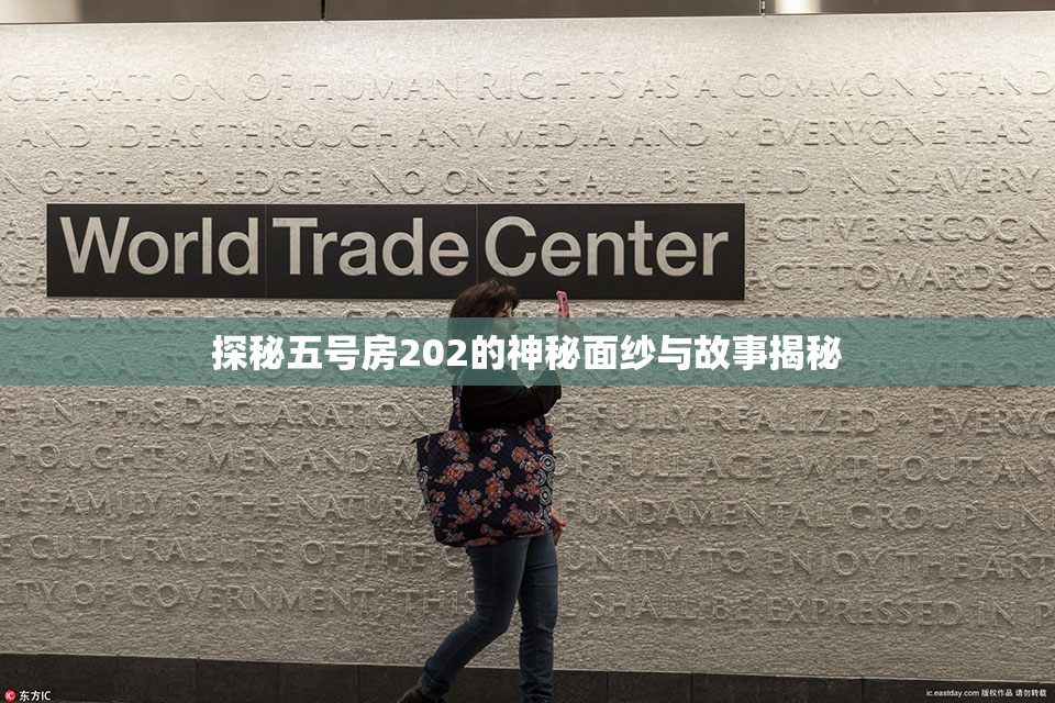 探秘五号房202的神秘面纱与故事揭秘