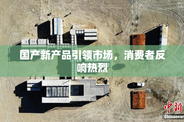 国产新产品引领市场，消费者反响热烈