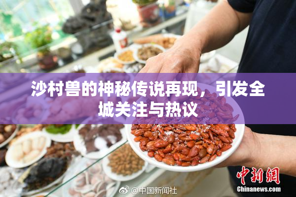 沙村兽的神秘传说再现，引发全城关注与热议