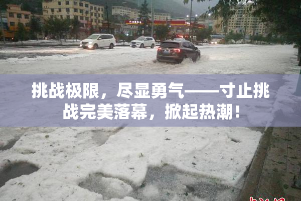 挑战极限，尽显勇气——寸止挑战完美落幕，掀起热潮！