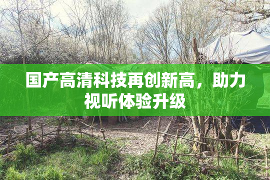 国产高清科技再创新高，助力视听体验升级