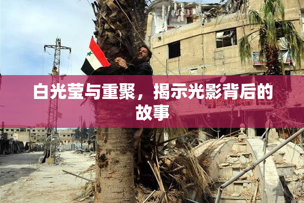 白光莹与重聚，揭示光影背后的故事