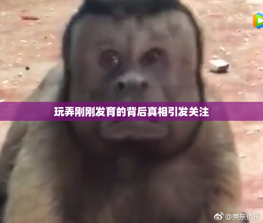 玩弄刚刚发育的背后真相引发关注