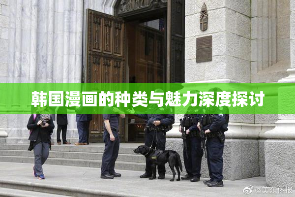 韩国漫画的种类与魅力深度探讨
