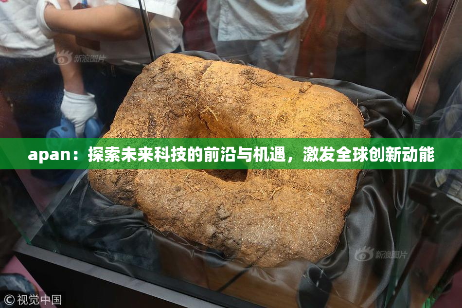apan：探索未来科技的前沿与机遇，激发全球创新动能