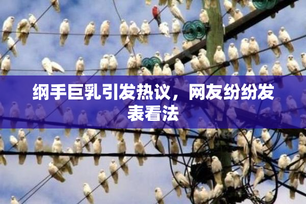 纲手巨乳引发热议，网友纷纷发表看法
