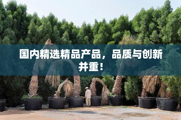 国内精选精品产品，品质与创新并重！