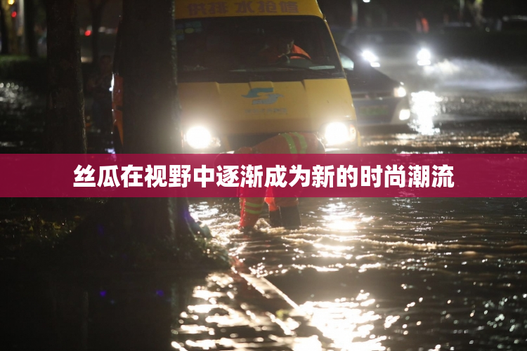 丝瓜在视野中逐渐成为新的时尚潮流