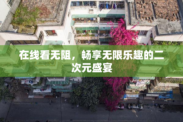 在线看无阻，畅享无限乐趣的二次元盛宴