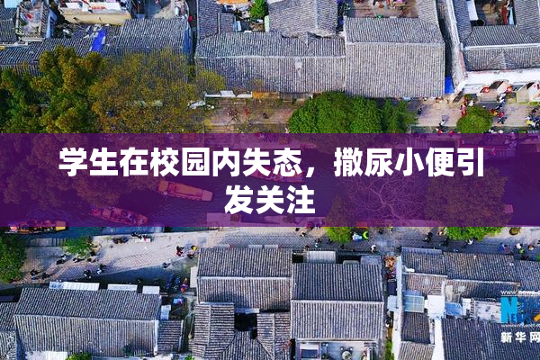 学生在校园内失态，撒尿小便引发关注
