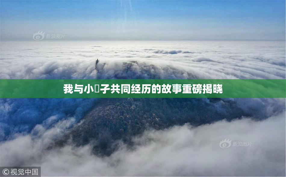 我与小娻孑共同经历的故事重磅揭晓