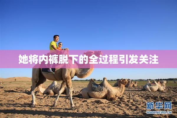 她将内裤脱下的全过程引发关注