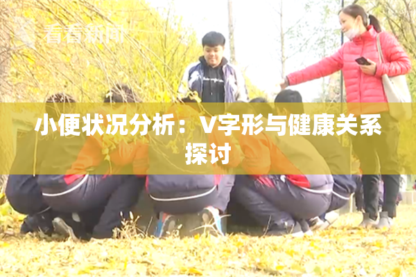 小便状况分析：V字形与健康关系探讨